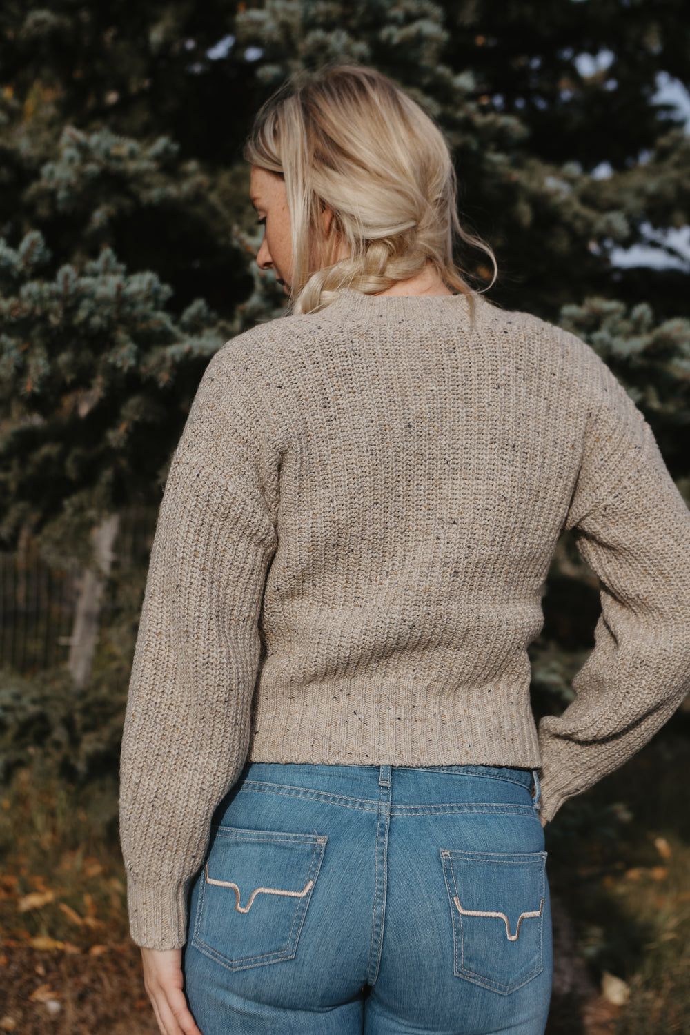 Smartwool - Women's Cozy Lodge Cropped Cardigan Sweater