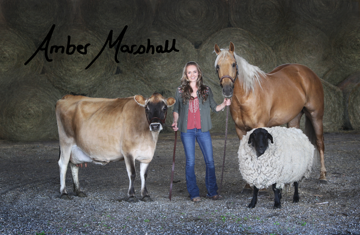 A MARSHALL Photos (8x10 Autographed Photos)