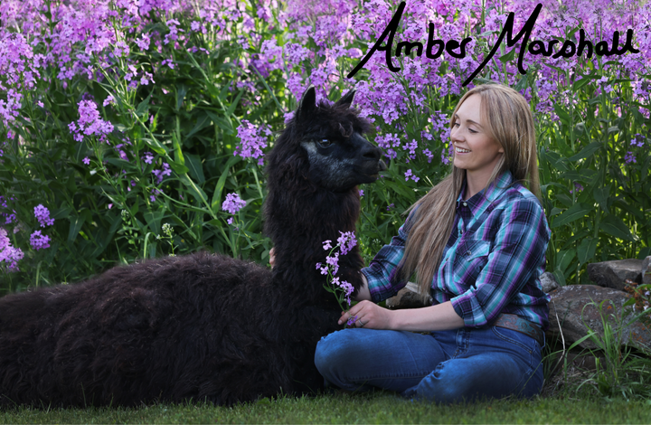 A MARSHALL Photos (8x10 Autographed Photos)