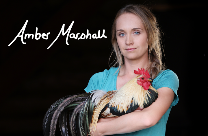 A MARSHALL Photos (8x10 Autographed Photos)