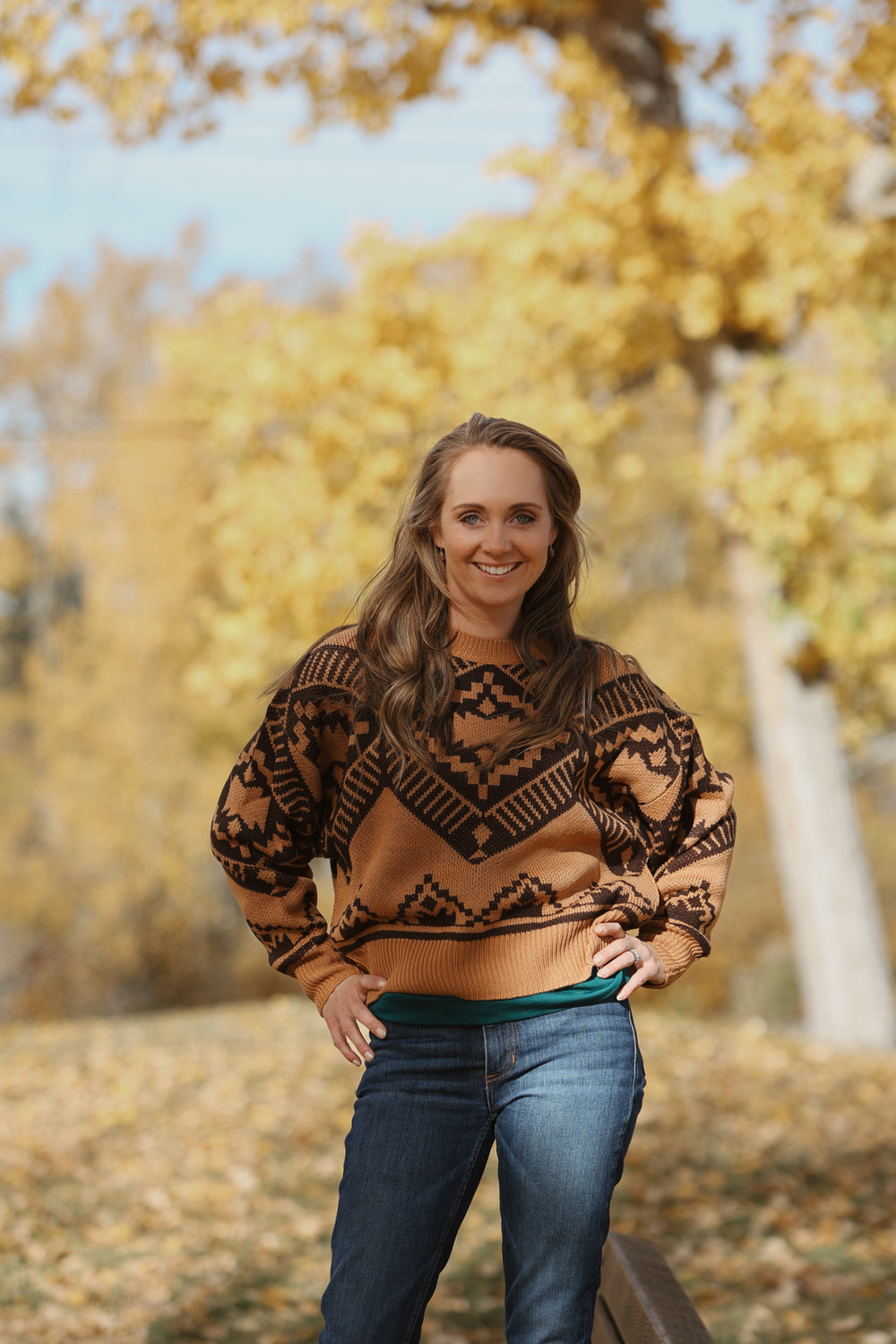 Wrangler - Women's Sweater Retro Americana Brown
