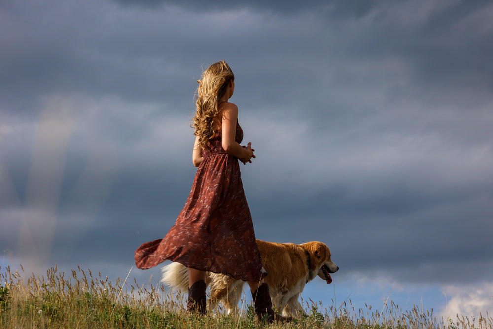Panhandle - Horse Print Midi Dress