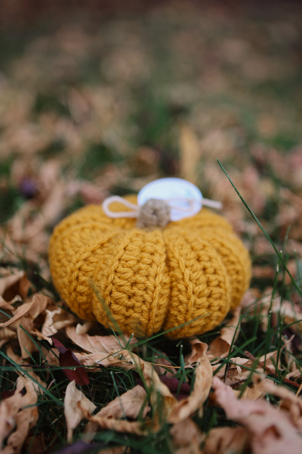 Handmade Fall Pumpkins