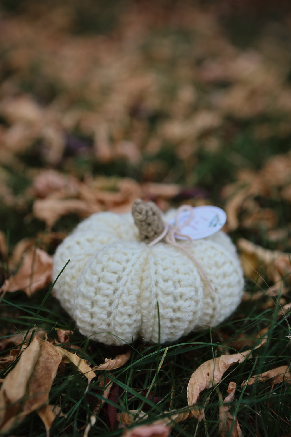 Handmade Fall Pumpkins
