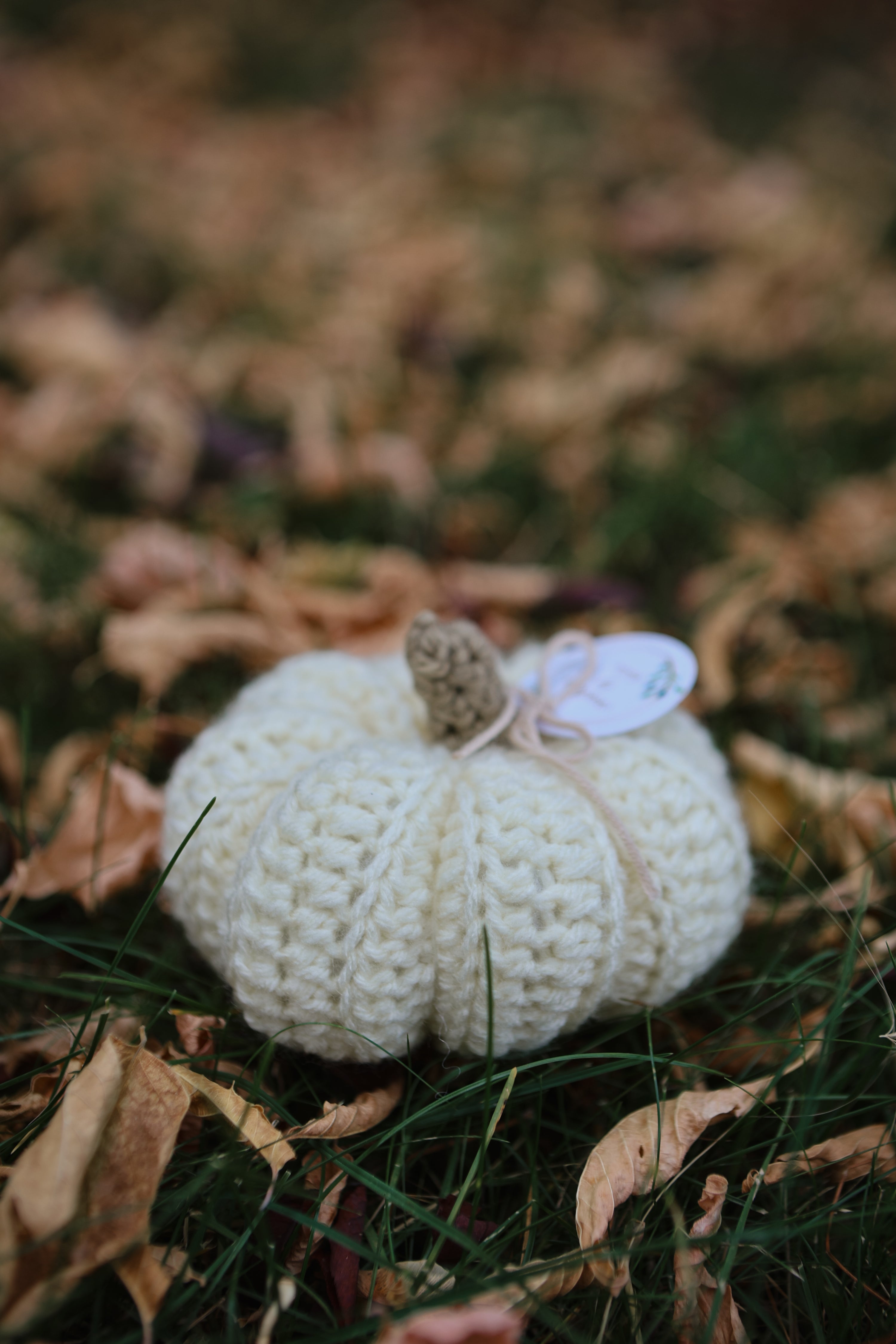 Handmade Fall Pumpkins