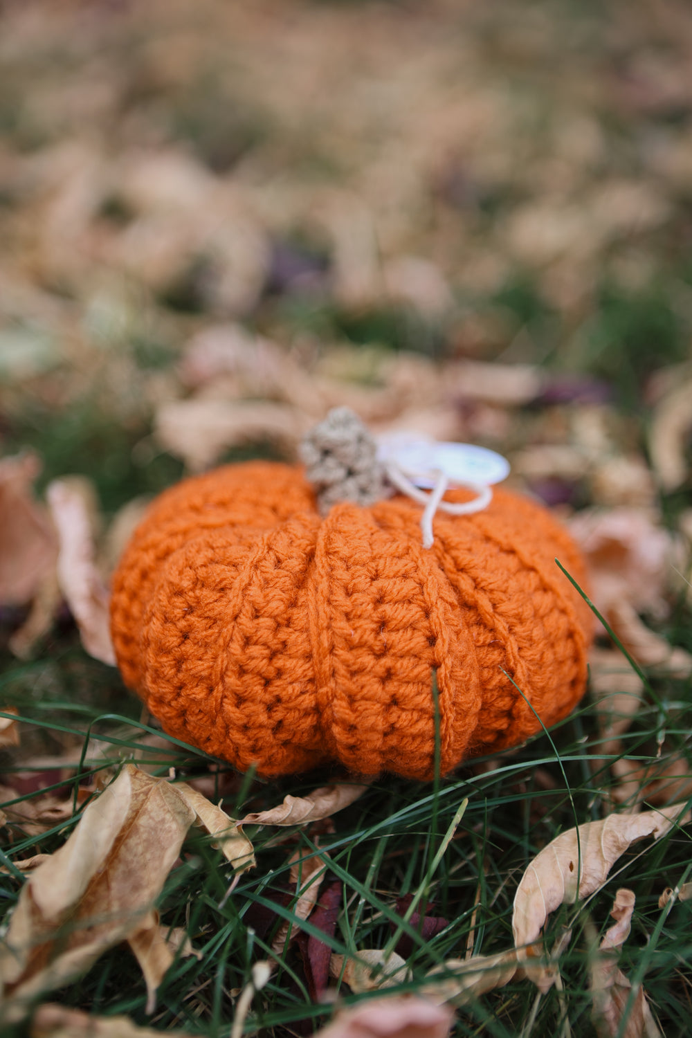 Handmade Fall Pumpkins
