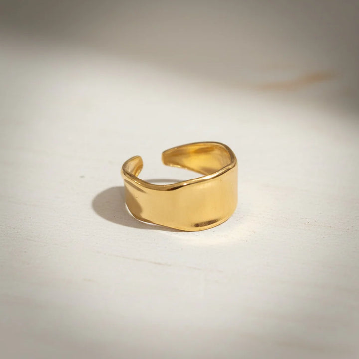Flint and Feather- Hand Hammered 'Refined' Ring