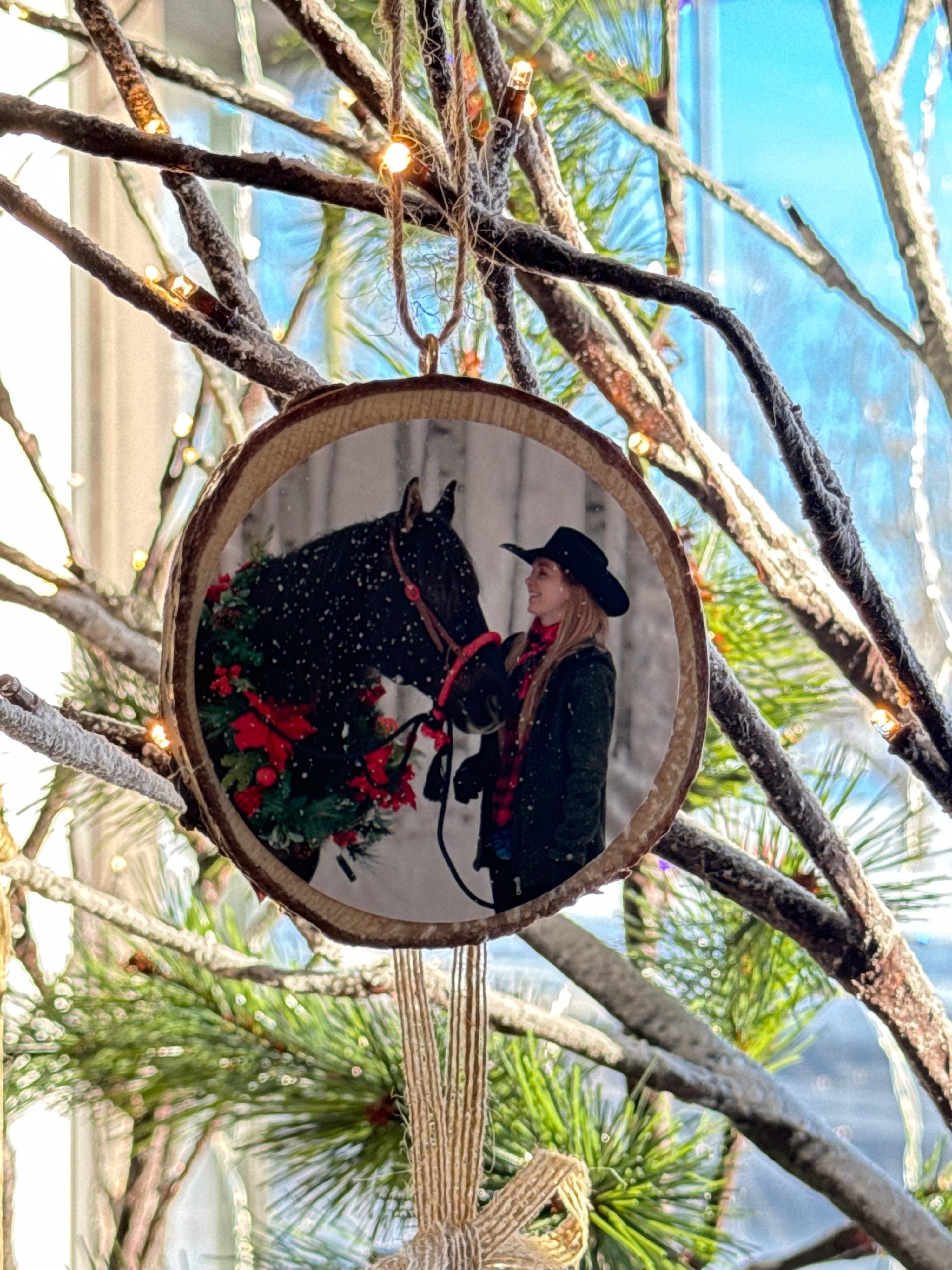 Louanne Fenske - Christmas Ornaments