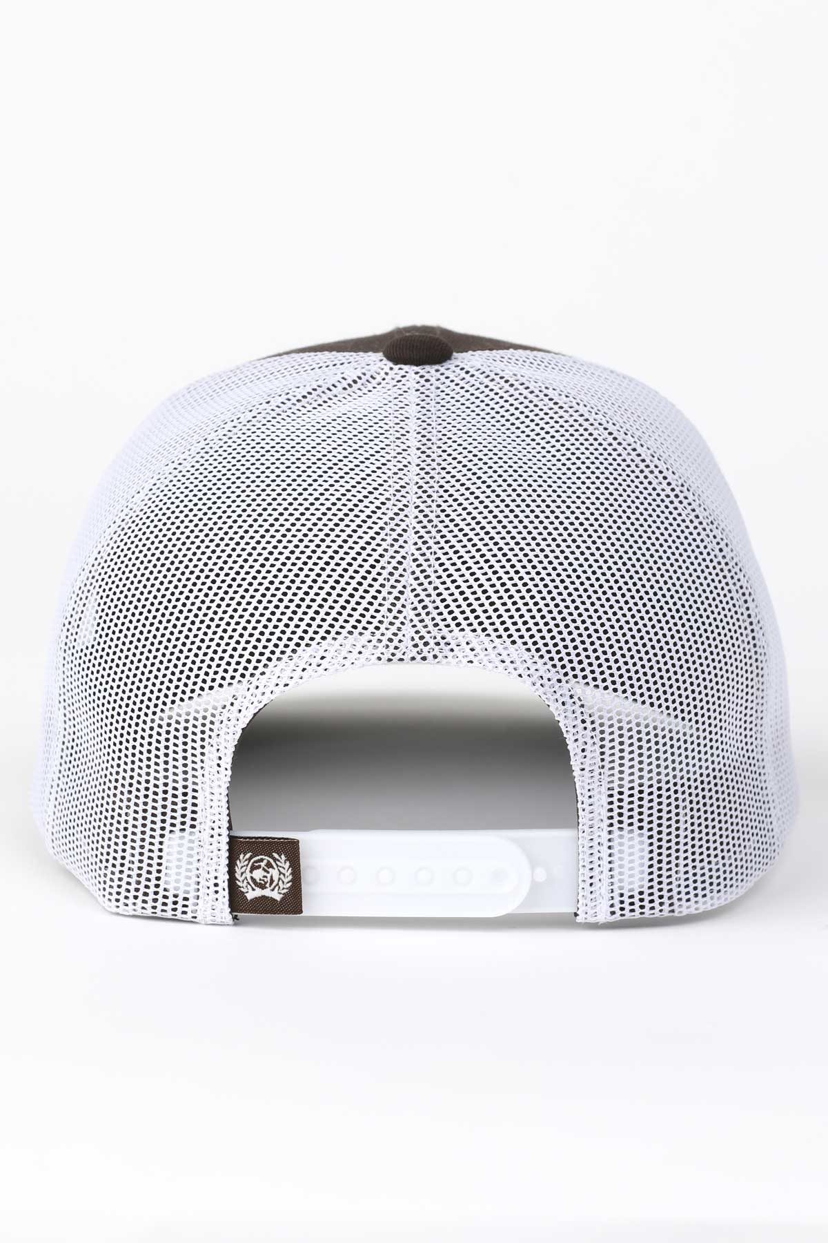 Cinch - 6 panel