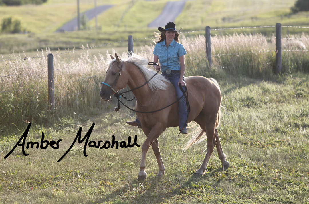 A MARSHALL Photos (8x10 Autographed Photos)