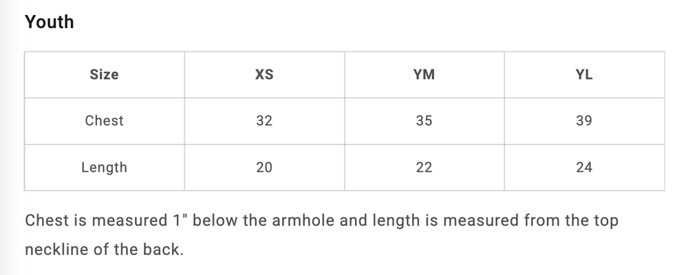 AM - Youth Hoodie - Maroon