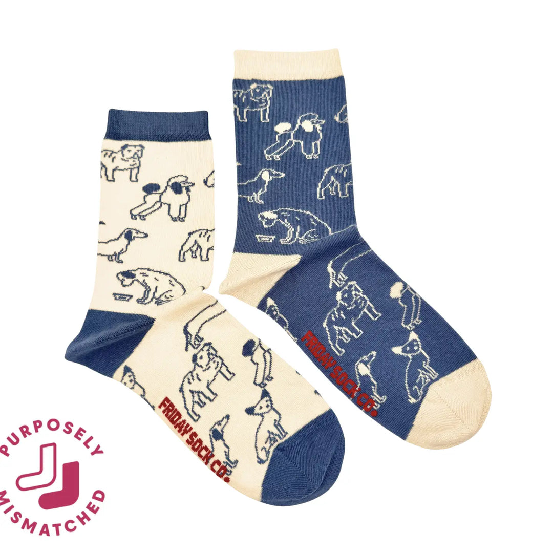 Friday Sock Co. - Women's Socks