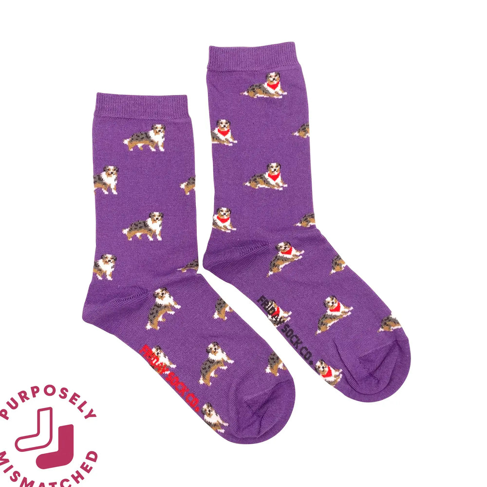 Friday Sock Co. - Women's Socks