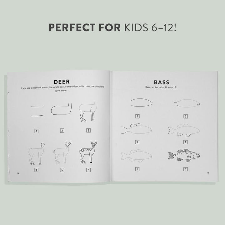 Children's Book - How to Draw Woodland Creatures for Kids