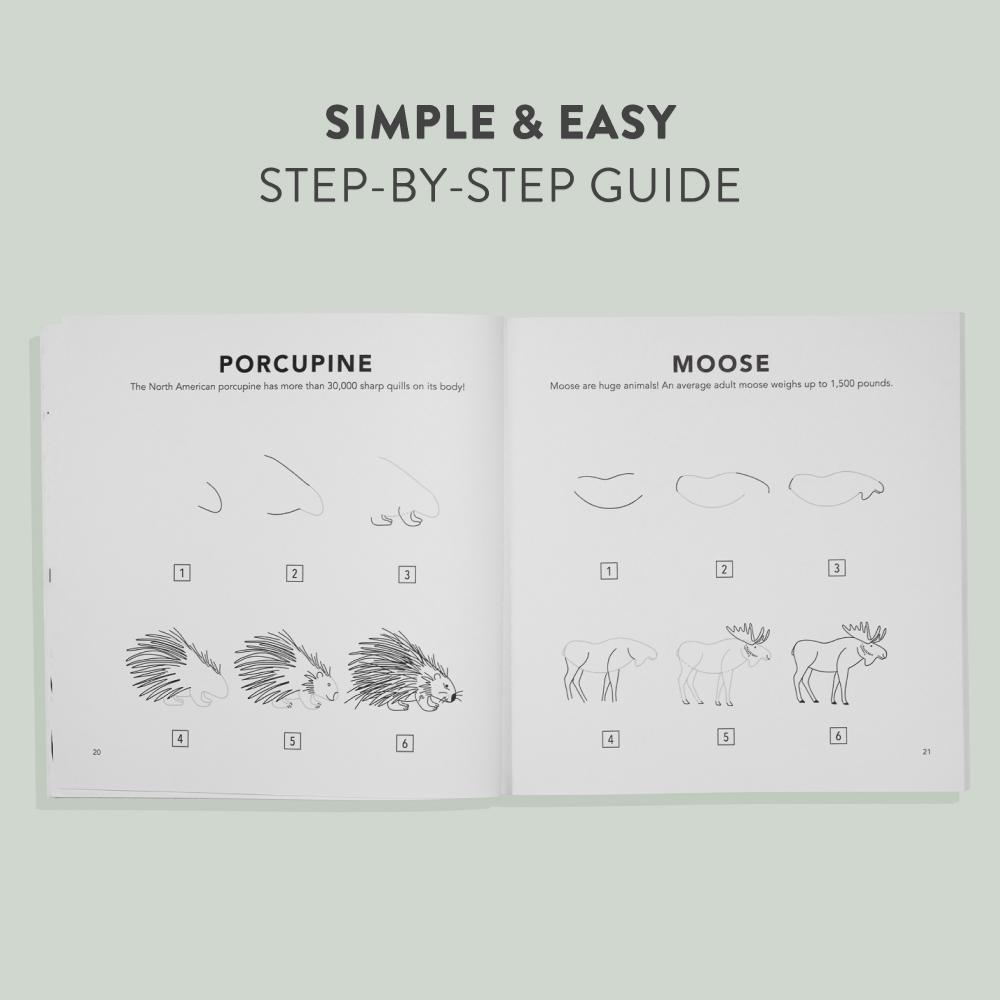 Children's Book - How to Draw Woodland Creatures for Kids