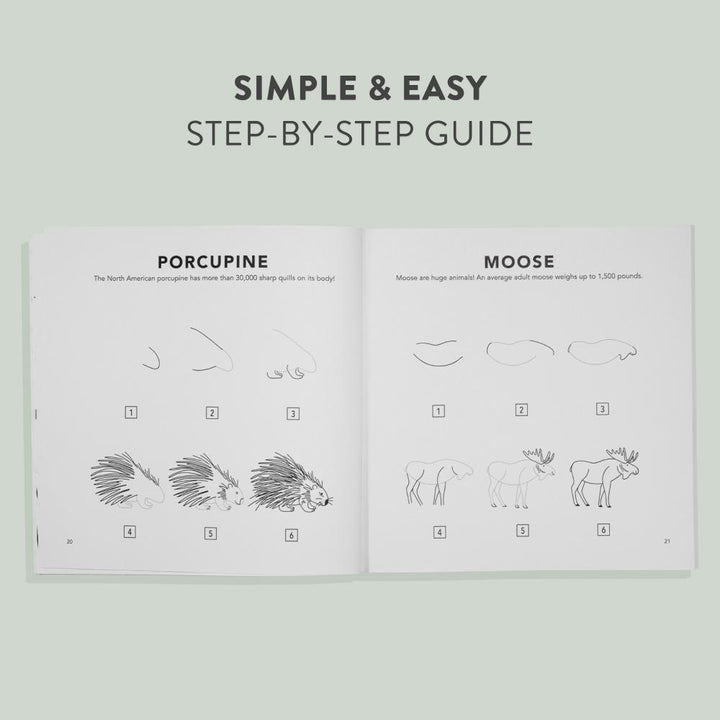 Children's Book - How to Draw Woodland Creatures for Kids