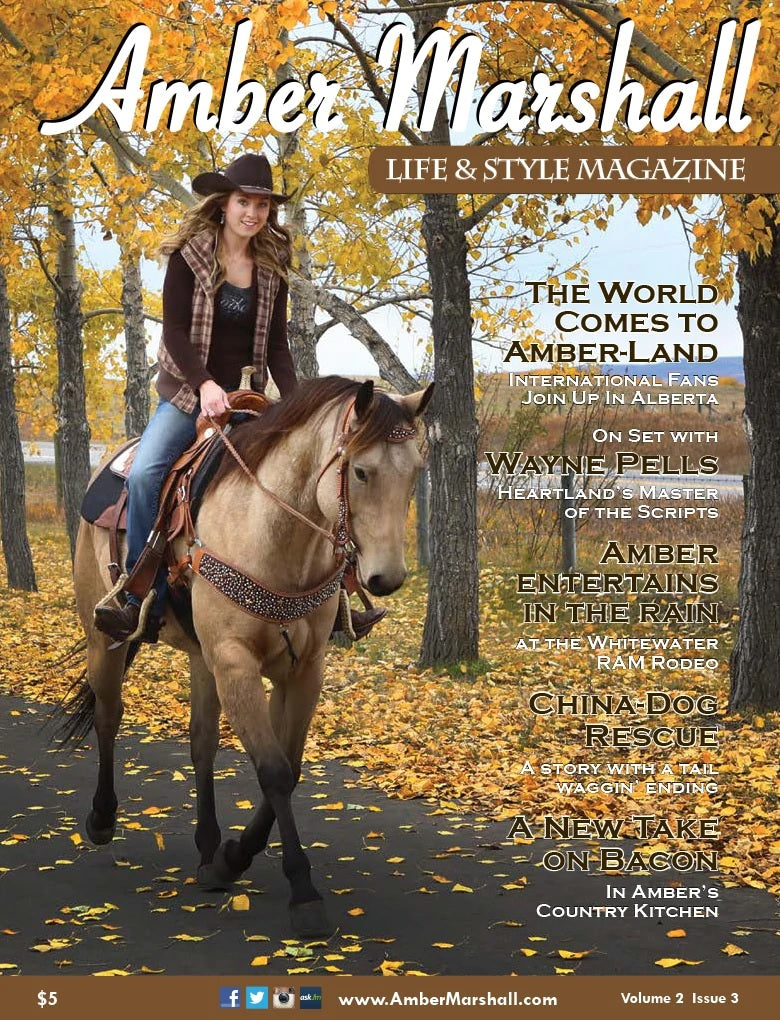 A MARSHALL Life & Style Magazine (Volume 2, Issue 3)