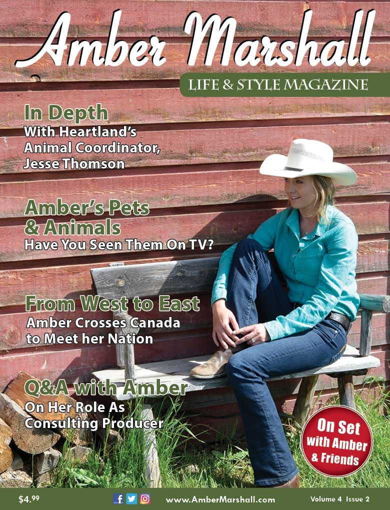 A MARSHALL Life & Style Magazine (Volume 4, Issue 2)