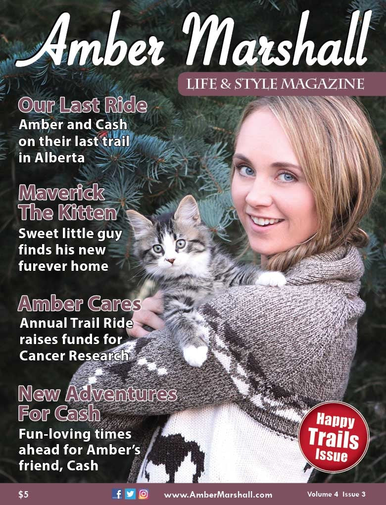 A MARSHALL Life & Style Magazine (Volume 4, Issue 3)
